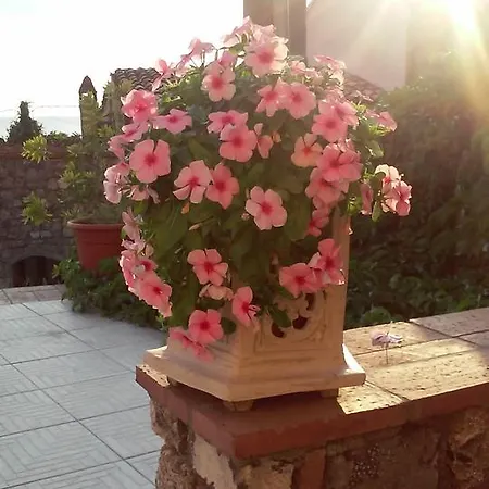 Mariposa 3* Maratea
